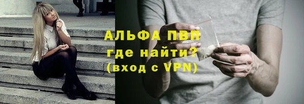 крисы Надым