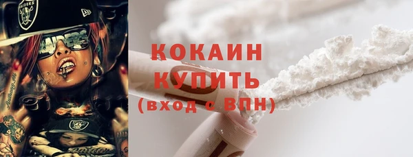спиды Тайга