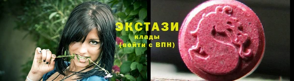 спиды Тайга