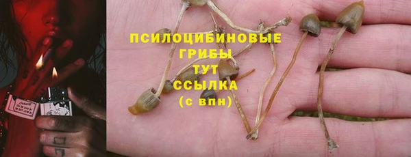 a pvp Горнозаводск