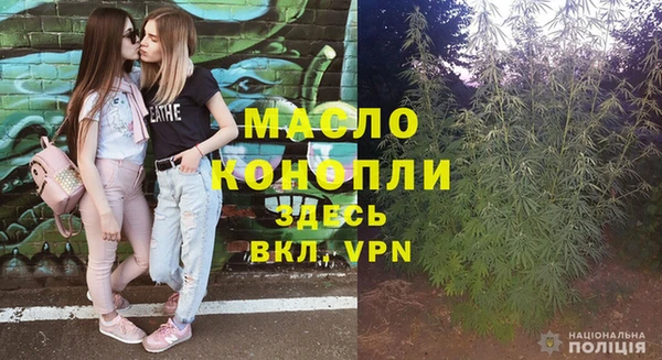 спиды Тайга