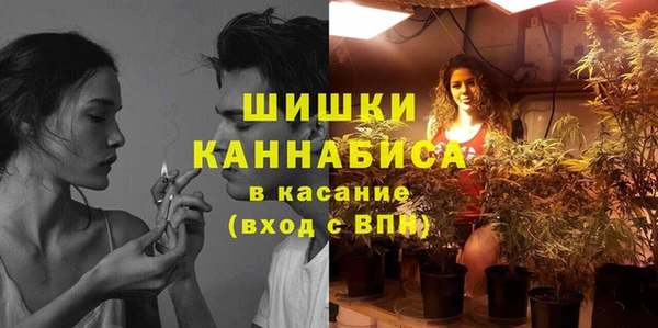 PSILOCYBIN Тавда