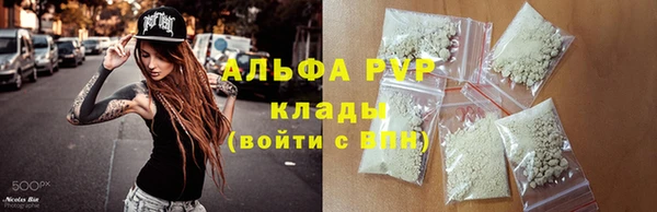 спиды Тайга