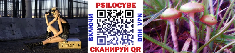 omg ТОР  Пестово  Галлюциногенные грибы Psilocybine cubensis  закладка 